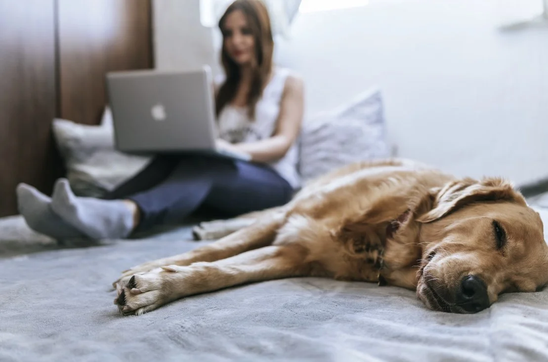 smart tech bed