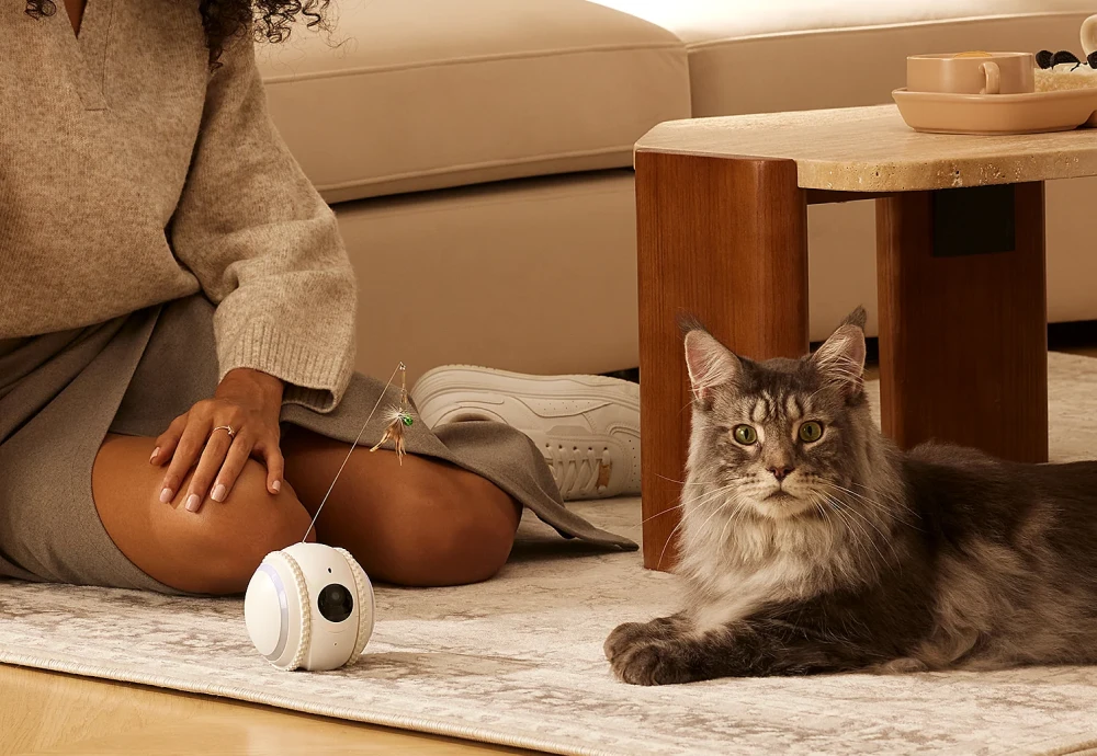 pet camera that moves