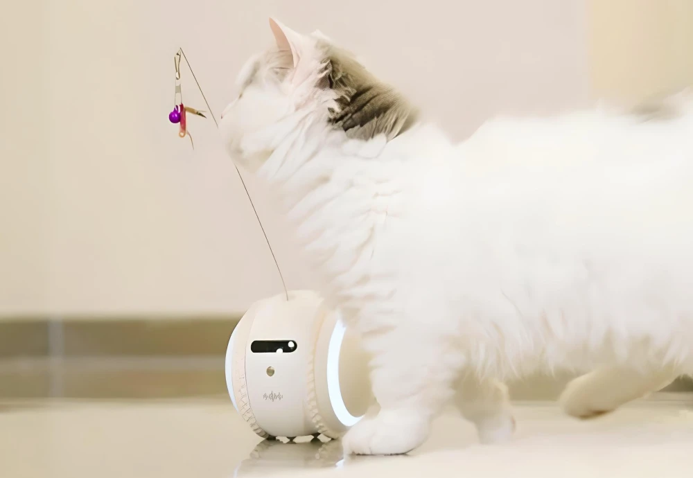 best camera for pets at home