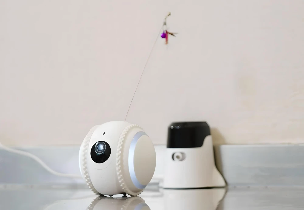 wireless pet camera