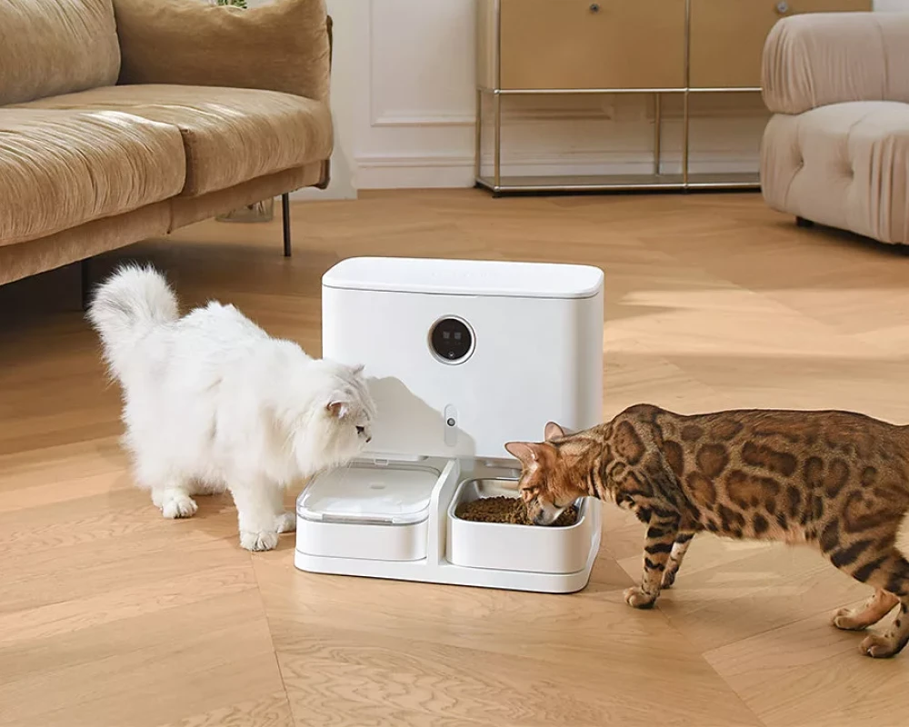 pets automatic pet feeder