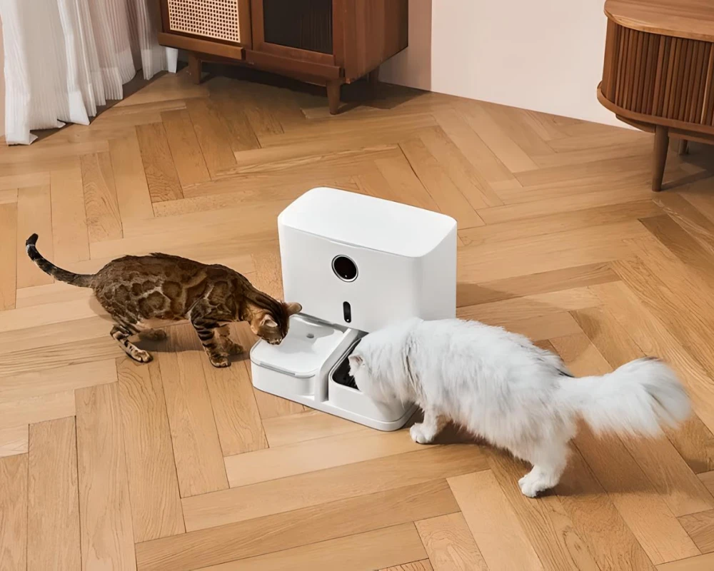 automatic dog feeding station